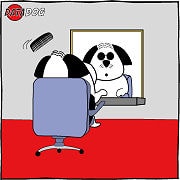 Seer Computing can help make your data easier to use, more presentable.